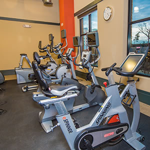 Over 2,000 sq ft of cardio and weight-training equipment