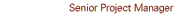 Senior Project Manager