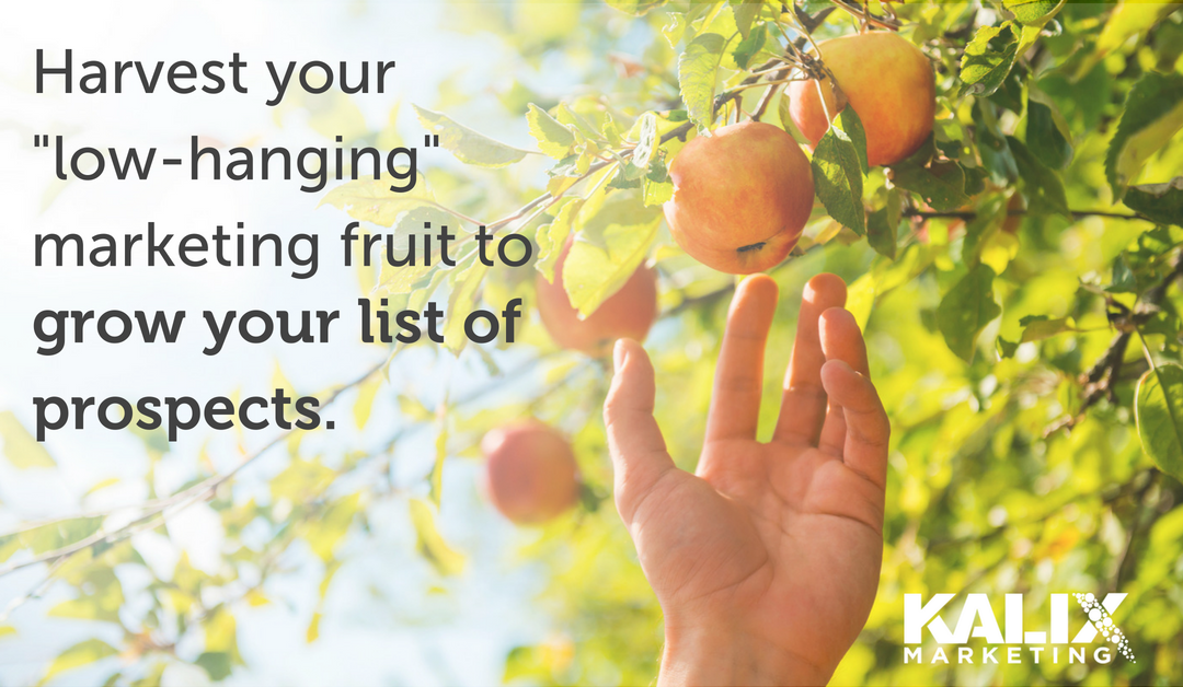 How to Harvest Your School’s “Low-Hanging” Marketing Fruit