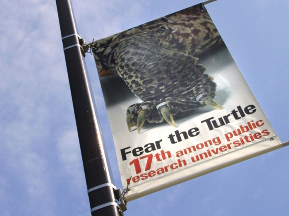 University of Maryland - Fear the Turtle - Banner