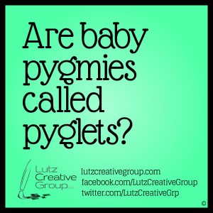 101_Pyglets