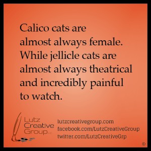 Calico cats are almost always female. While jellicle cats are almost always theatrical and incredibly painful to watch.